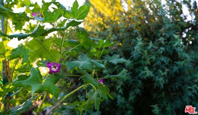 20307 Mobile Street, Winnetka (los Angeles), CA 91306