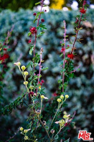 20307 Mobile Street, Winnetka (los Angeles), CA 91306