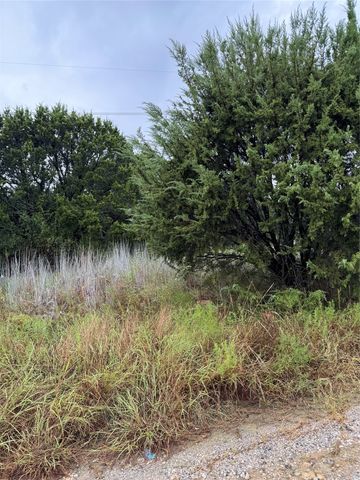 5614 Van Horn Drive, Granbury, TX 76048