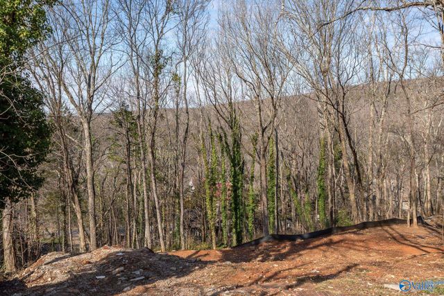 2228 Briarcliff Road, Huntsville, AL 35801
