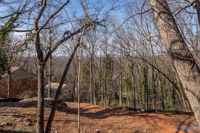 2228 Briarcliff Road, Huntsville, AL 35801