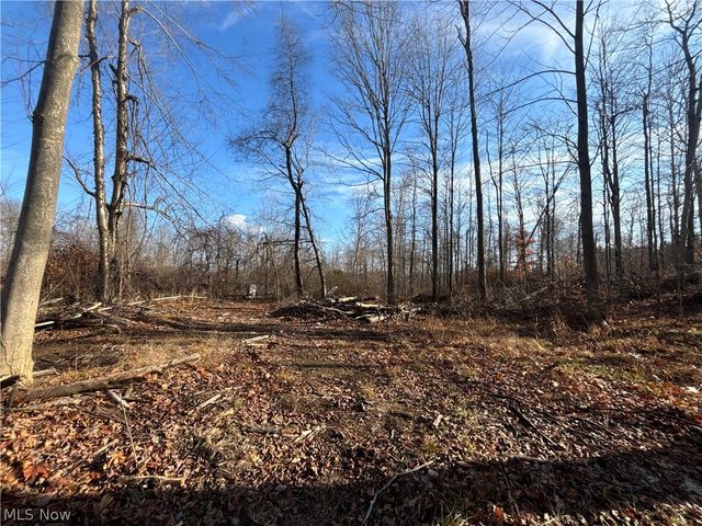 10785 Bell Road, Newbury, OH 44065