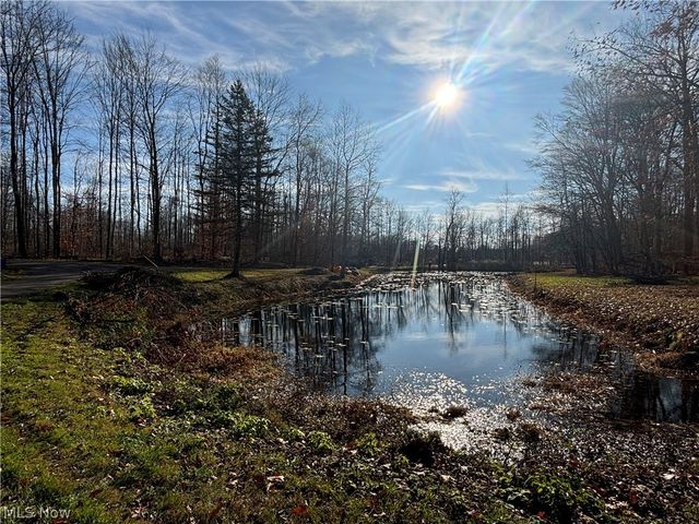10785 Bell Road, Newbury, OH 44065