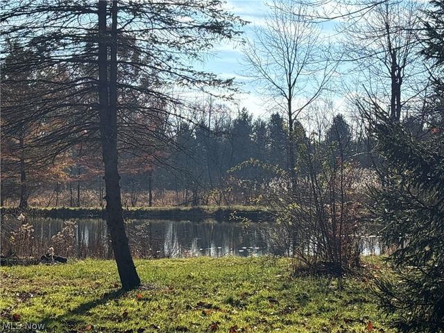 10785 Bell Road, Newbury, OH 44065