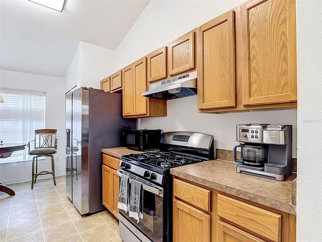 24443 SUMMER WIND CT, Lutz, FL 33559