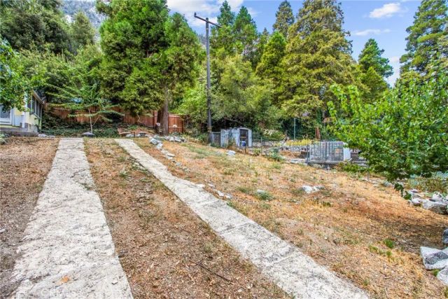 39429 Canyon Drive, Forest Falls, CA 92339