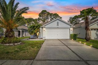 23935 CORAL RIDGE LANE, Land O Lakes, FL 34639