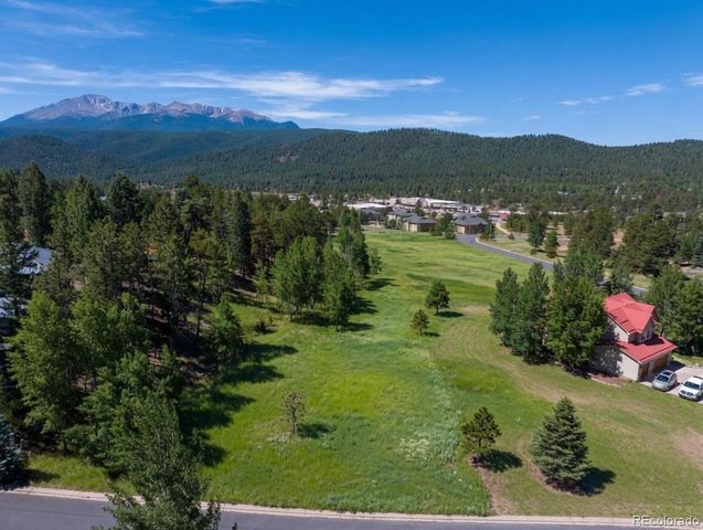 921 Heather Court, Woodland Park, CO 80863