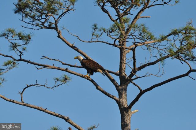 10148 CHAMP RD, Princess Anne, MD 21853