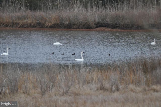 10148 CHAMP RD, Princess Anne, MD 21853