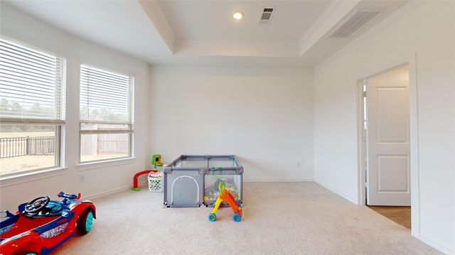 14407 Cardinal Forest Drive, Conroe, TX 77302