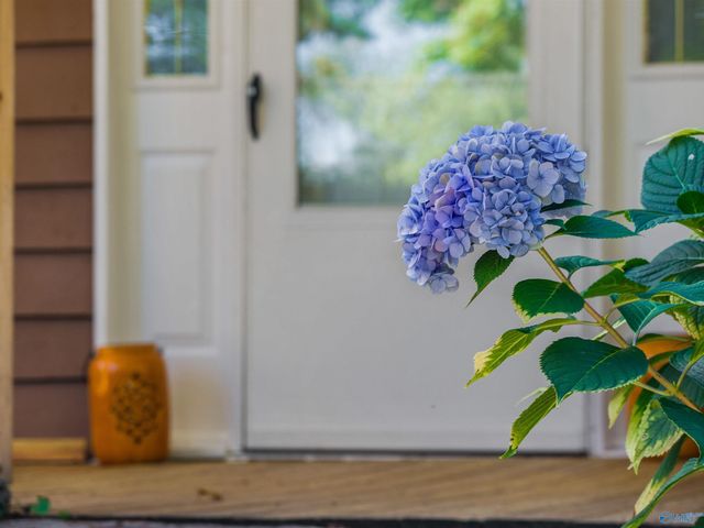 20600 Scenic Highway, Mentone, AL 35984