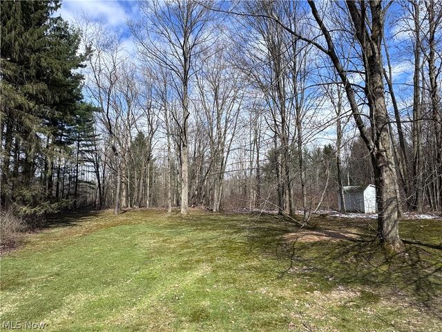 13566 Stoney Springs Drive, Chardon, OH 44024