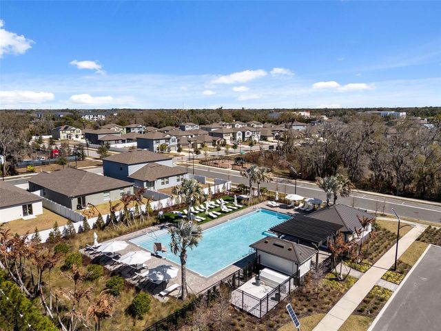 10387 SCARLETT SKIMMER DRIVE, Riverview, FL 33578