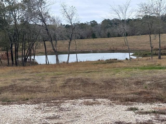 3901 E Fm 942, Livingston, TX 77351