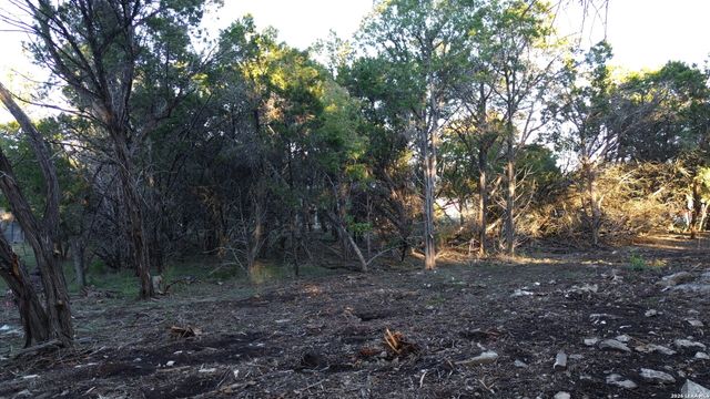 1405 Canyon Bend, Canyon Lake, TX 78133