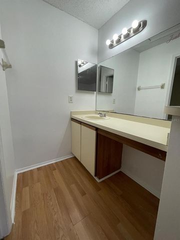 48 SILVER FALLS CIRCLE, Kissimmee, FL 34743