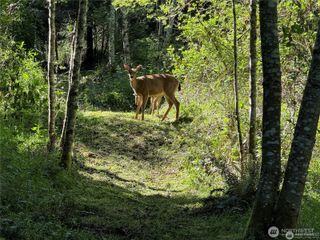 0 Highway 20, Port Townsend, WA 98368