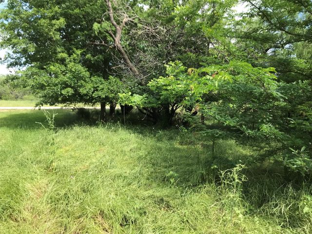 21112 Hill Terrace Drive, Whitney, TX 76692