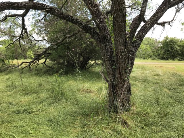 21112 Hill Terrace Drive, Whitney, TX 76692