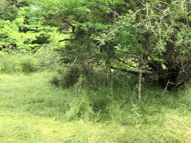 21112 Hill Terrace Drive, Whitney, TX 76692