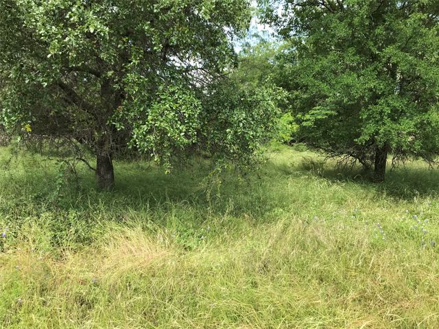 21112 Hill Terrace Drive, Whitney, TX 76692