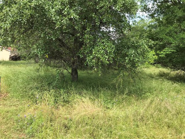 21112 Hill Terrace Drive, Whitney, TX 76692