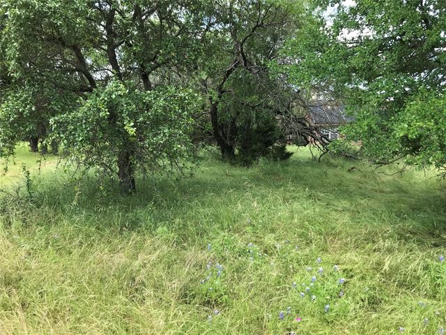 21112 Hill Terrace Drive, Whitney, TX 76692