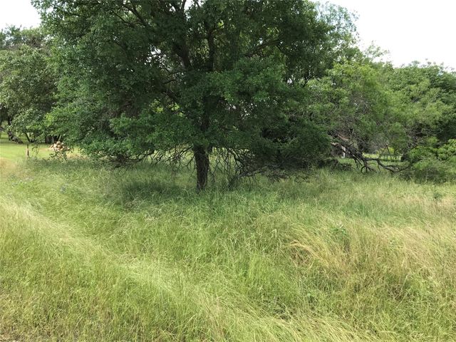 21112 Hill Terrace Drive, Whitney, TX 76692