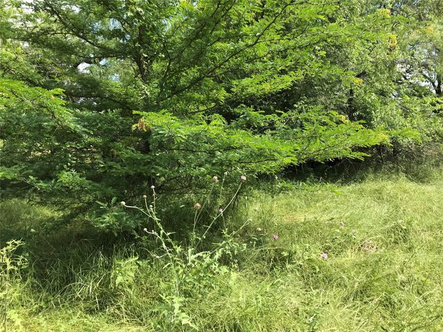 21112 Hill Terrace Drive, Whitney, TX 76692