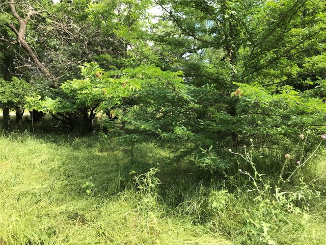 21112 Hill Terrace Drive, Whitney, TX 76692