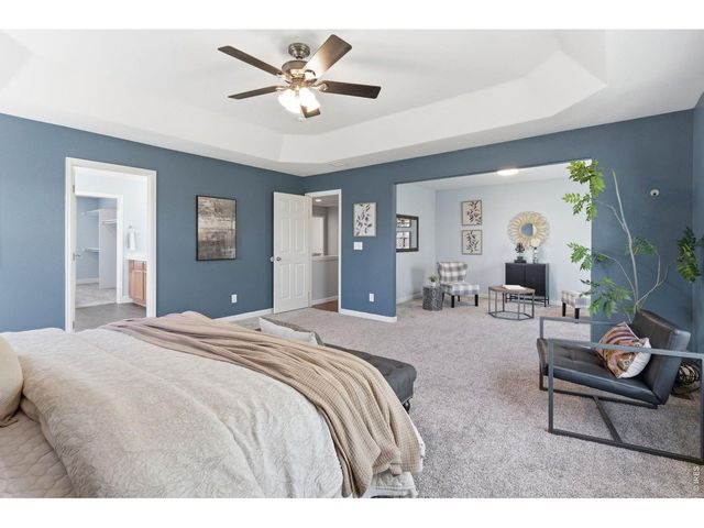 543 Botley Ct, Windsor, CO 80550