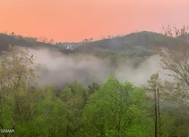 207 Buena Vista Drive, Sevierville, TN 37876