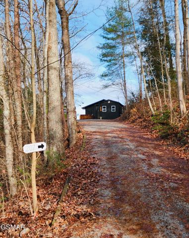 207 Buena Vista Drive, Sevierville, TN 37876