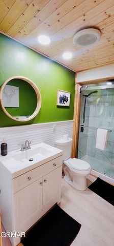 207 Buena Vista Drive, Sevierville, TN 37876