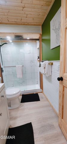 207 Buena Vista Drive, Sevierville, TN 37876