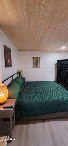 207 Buena Vista Drive, Sevierville, TN 37876