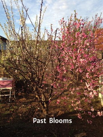 3413 Joanna Dr, Modesto, CA 95355