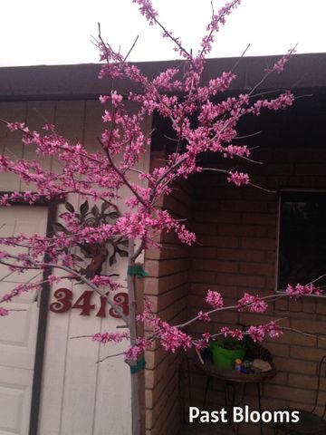 3413 Joanna Dr, Modesto, CA 95355