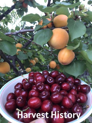 3413 Joanna Dr, Modesto, CA 95355