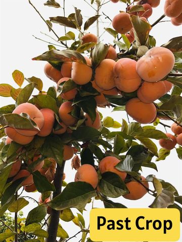 3413 Joanna Dr, Modesto, CA 95355