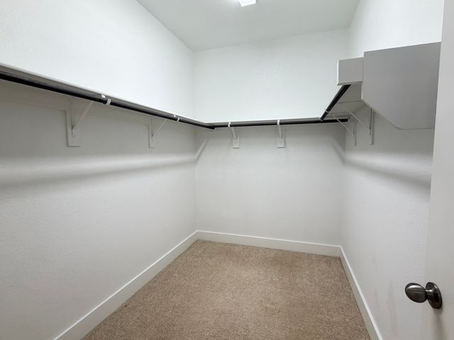 613 taylor Drive, Fate, TX 75087