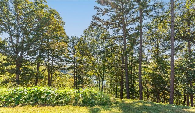 343 County Road 1489, Eureka Springs, AR 72632