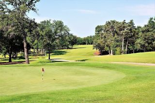 125 Windhaven Court, Gordonville, TX 76245