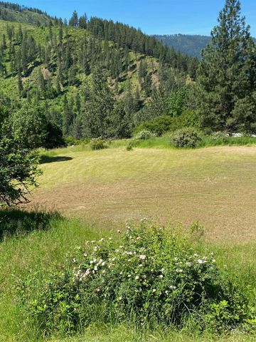 TBD Adams Rd, Parcel D, Orofino, ID 83544