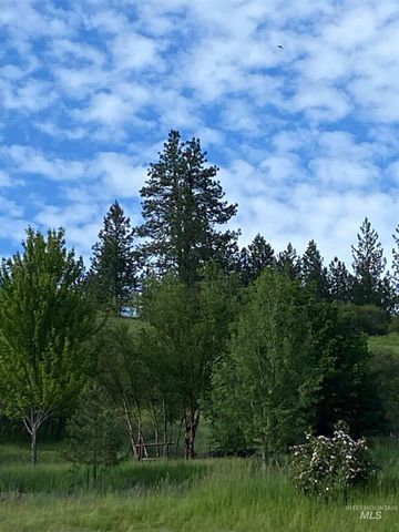 TBD Adams Rd, Parcel D, Orofino, ID 83544