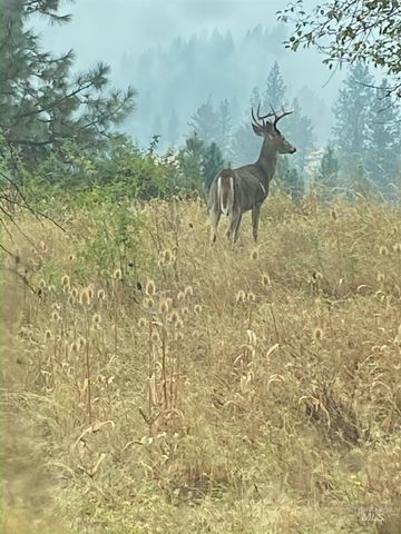 TBD Adams Rd, Parcel D, Orofino, ID 83544