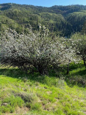 TBD Adams Rd, Parcel D, Orofino, ID 83544