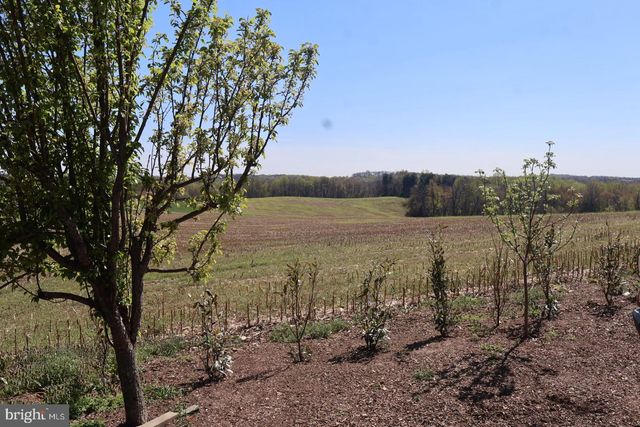 10500 MOXLEY RD, Damascus, MD 20872