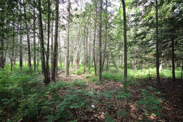 2624 Hartman Road, Traverse City, MI 49685